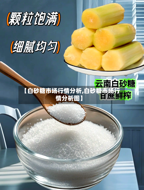 【白砂糖市场行情分析,白砂糖市场行情分析图】