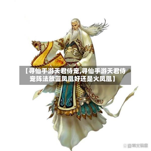 【寻仙手游天君侍宠,寻仙手游天君侍宠阵法放蓝凤凰好还是火凤凰】