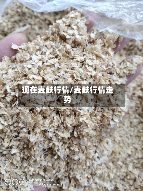 现在麦麸行情/麦麸行情走势-第3张图片