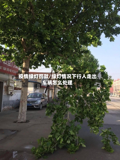 疫情绿灯罚款/绿灯情况下行人走出车祸怎么处理-第3张图片