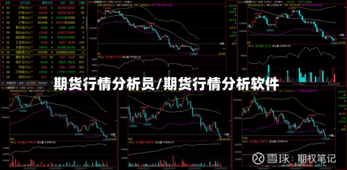 期货行情分析员/期货行情分析软件