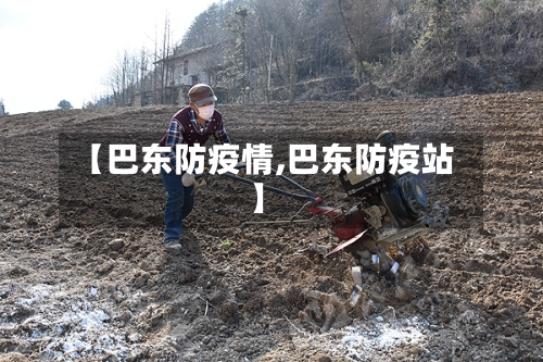 【巴东防疫情,巴东防疫站】