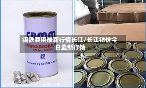 钼铁费用最新行情长江/长江钴价今日最新行情
