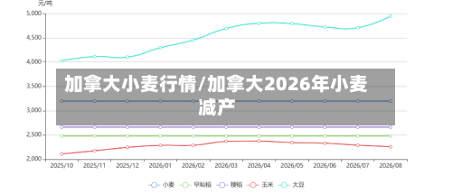 加拿大小麦行情/加拿大2026年小麦减产-第3张图片