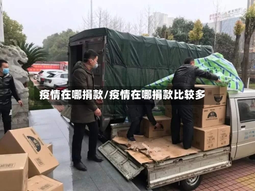 疫情在哪捐款/疫情在哪捐款比较多-第2张图片