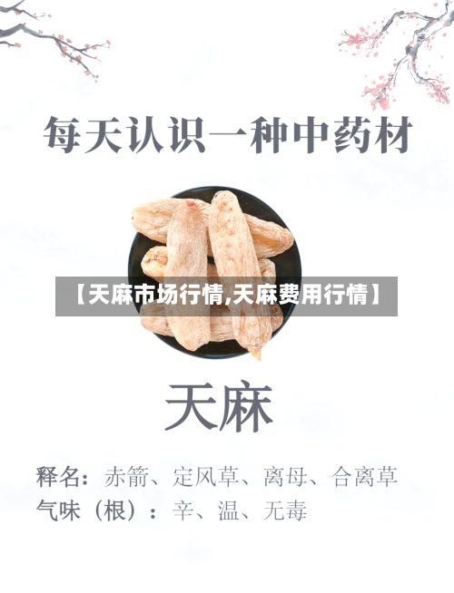【天麻市场行情,天麻费用行情】