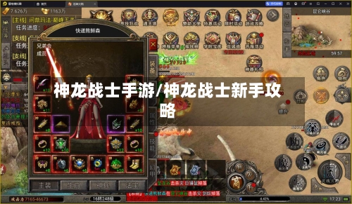 神龙战士手游/神龙战士新手攻略