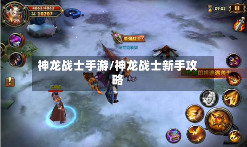 神龙战士手游/神龙战士新手攻略-第3张图片