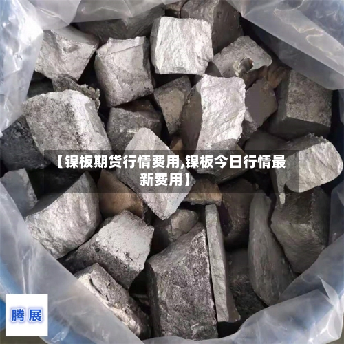 【镍板期货行情费用,镍板今日行情最新费用】