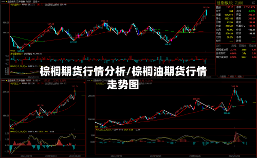棕榈期货行情分析/棕榈油期货行情走势图-第3张图片