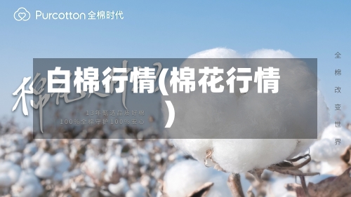 白棉行情(棉花行情)