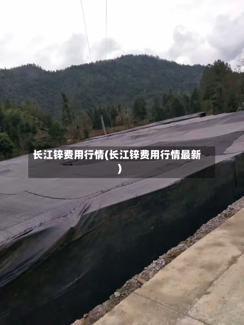 长江锌费用行情(长江锌费用行情最新)-第2张图片