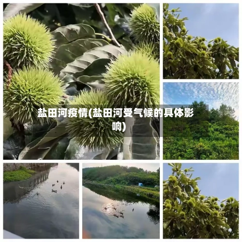 盐田河疫情(盐田河受气候的具体影响)-第2张图片