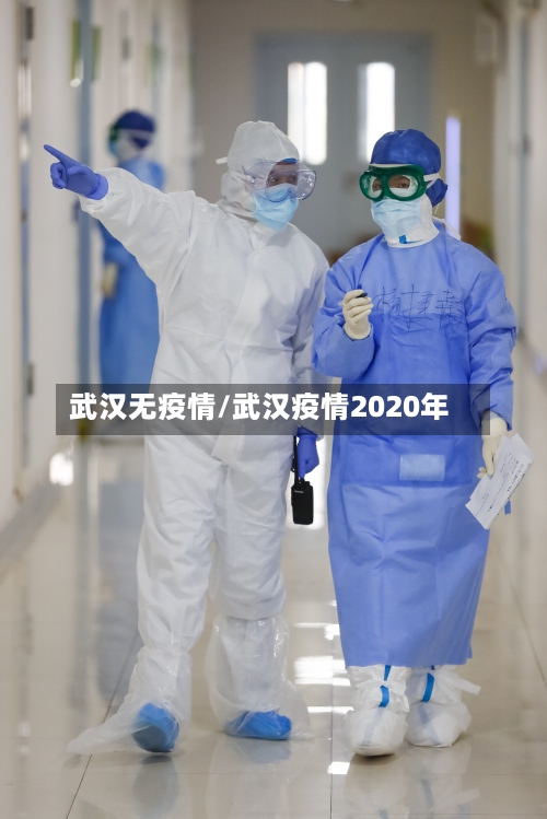 武汉无疫情/武汉疫情2020年