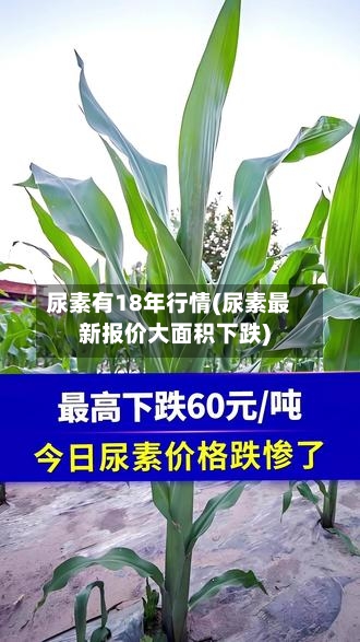 尿素有18年行情(尿素最新报价大面积下跌)-第2张图片