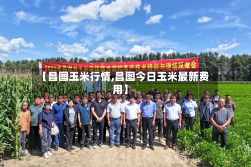 【昌图玉米行情,昌图今日玉米最新费用】-第2张图片