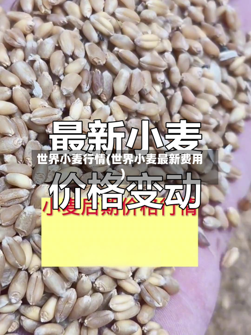 世界小麦行情(世界小麦最新费用)-第2张图片