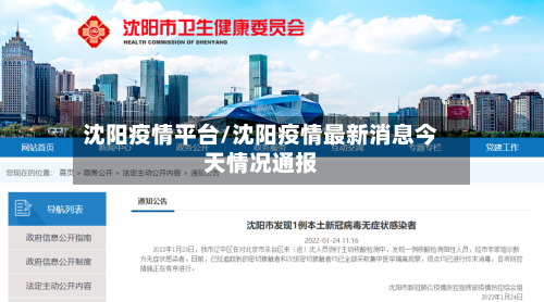 沈阳疫情平台/沈阳疫情最新消息今天情况通报-第2张图片