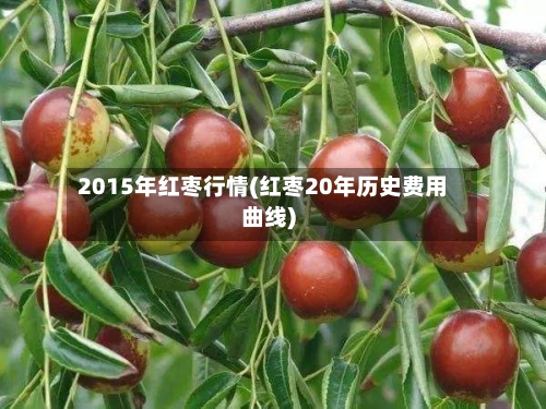 2015年红枣行情(红枣20年历史费用曲线)-第2张图片