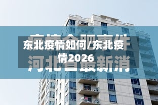 东北疫情如何/东北疫情2026