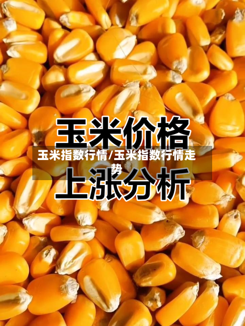 玉米指数行情/玉米指数行情走势