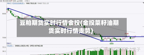 豆粕期货实时行情金投(金投菜籽油期货实时行情走势)-第3张图片