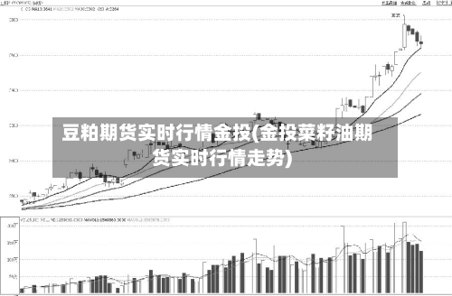 豆粕期货实时行情金投(金投菜籽油期货实时行情走势)-第2张图片