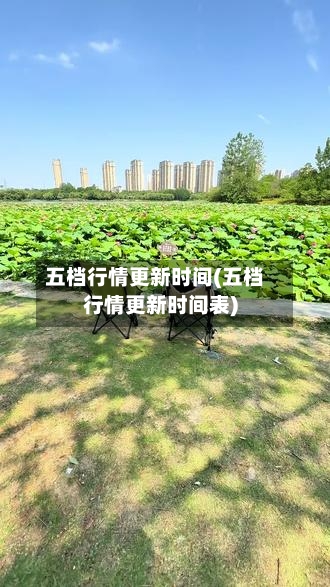 五档行情更新时间(五档行情更新时间表)