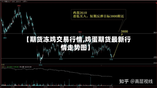 【期货冻鸡交易行情,鸡蛋期货最新行情走势图】-第3张图片