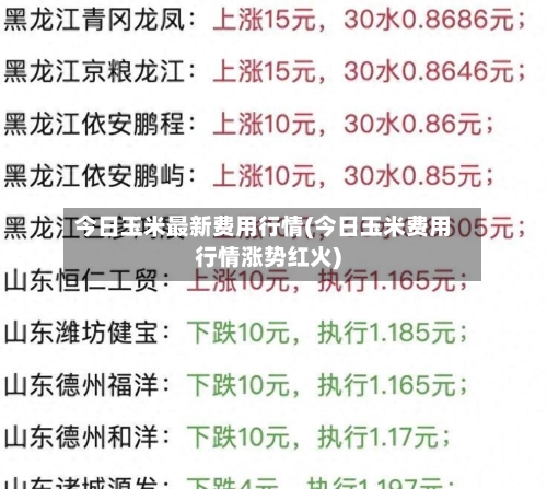 今日玉米最新费用行情(今日玉米费用行情涨势红火)-第3张图片