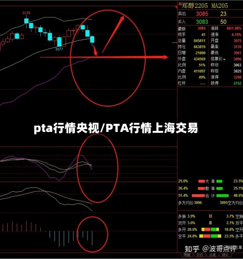 pta行情央视/PTA行情上海交易