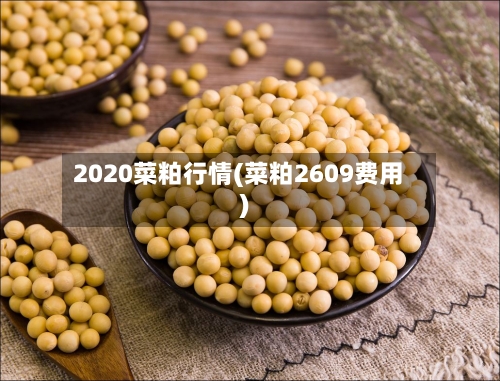 2020菜粕行情(菜粕2609费用)