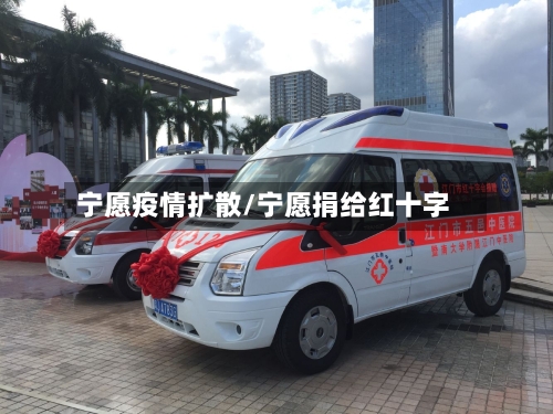 宁愿疫情扩散/宁愿捐给红十字-第2张图片