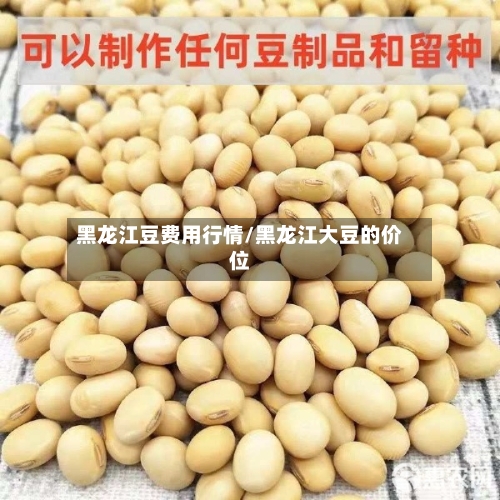 黑龙江豆费用行情/黑龙江大豆的价位