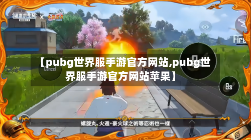 【pubg世界服手游官方网站,pubg世界服手游官方网站苹果】-第2张图片