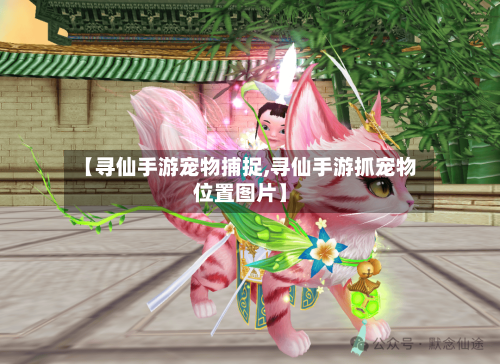 【寻仙手游宠物捕捉,寻仙手游抓宠物位置图片】