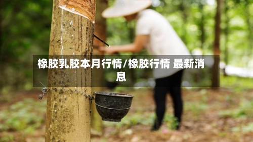 橡胶乳胶本月行情/橡胶行情 最新消息
