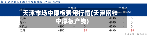 天津市场中厚板费用行情(天津钢铁中厚板产线)-第2张图片