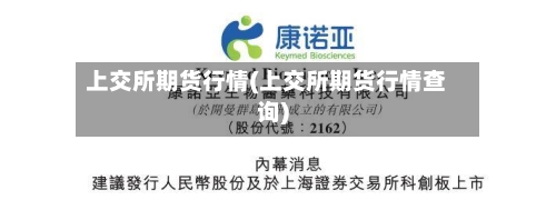 上交所期货行情(上交所期货行情查询)-第2张图片