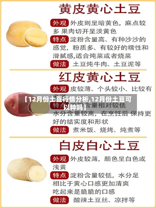 【12月份土豆行情分析,12月份土豆可以种吗】
