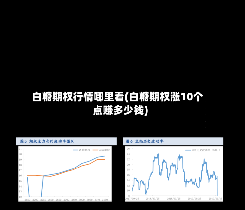 白糖期权行情哪里看(白糖期权涨10个点赚多少钱)