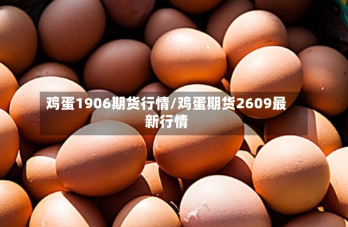 鸡蛋1906期货行情/鸡蛋期货2609最新行情-第3张图片