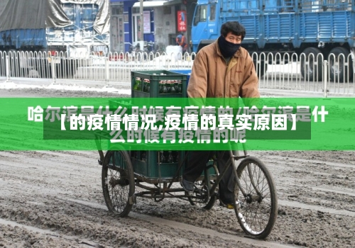 【的疫情情况,疫情的真实原因】-第3张图片