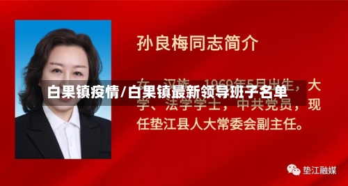 白果镇疫情/白果镇最新领导班子名单