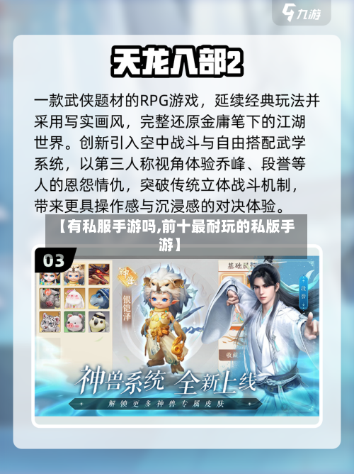 【有私服手游吗,前十最耐玩的私版手游】