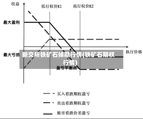 新交所铁矿石掉期行情(铁矿石期权行情)-第2张图片