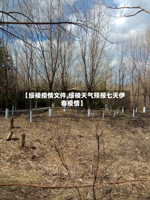 【绥棱疫情文件,绥棱天气预报七天伊春疫情】