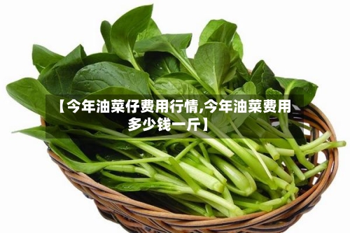 【今年油菜仔费用行情,今年油菜费用多少钱一斤】-第2张图片