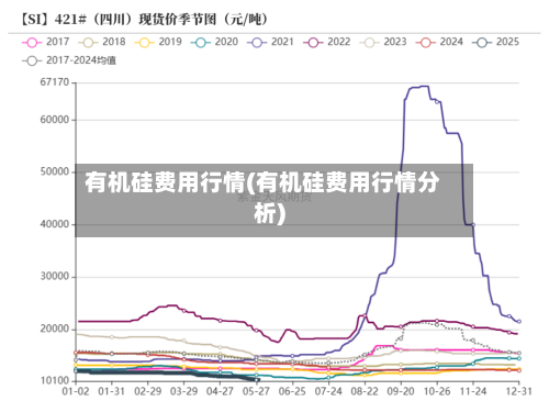 有机硅费用行情(有机硅费用行情分析)-第2张图片