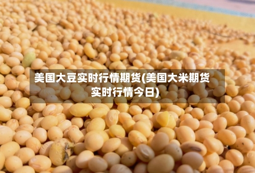 美国大豆实时行情期货(美国大米期货实时行情今日)-第2张图片